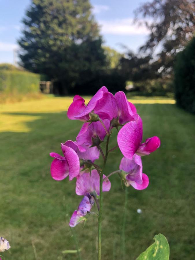 Croxton House B&B Kirmington Eksteriør bilde